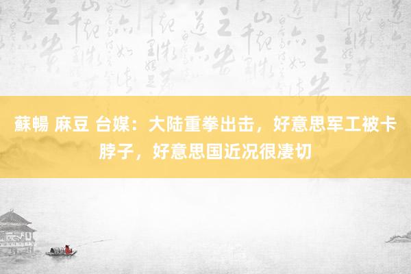蘇暢 麻豆 台媒：大陆重拳出击，好意思军工被卡脖子，好意思国近况很凄切