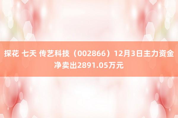 探花 七天 传艺科技(002866)12月3日主力资金净卖出2891.05万元