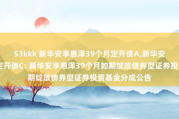 53kkk 新华安享惠泽39个月定开债A,新华安享惠泽39个月定开债C: 新华安享惠泽39个月如期绽放债券型证券投资基金分成公告