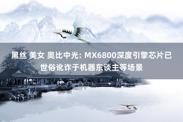 黑丝 美女 奥比中光: MX6800深度引擎芯片已世俗讹诈于机器东谈主等场景