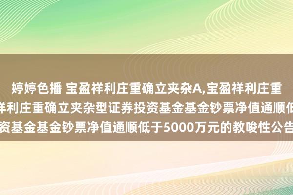 婷婷色播 宝盈祥利庄重确立夹杂A,宝盈祥利庄重确立夹杂C: 对于宝盈祥利庄重确立夹杂型证券投资基金基金钞票净值通顺低于5000万元的教唆性公告