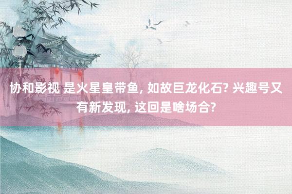 协和影视 是火星皇带鱼， 如故巨龙化石? 兴趣号又有新发现， 这回是啥场合?