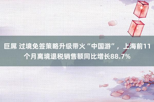 巨屌 过境免签策略升级带火“中国游”，上海前11个月离境退税销售额同比增长88.7%