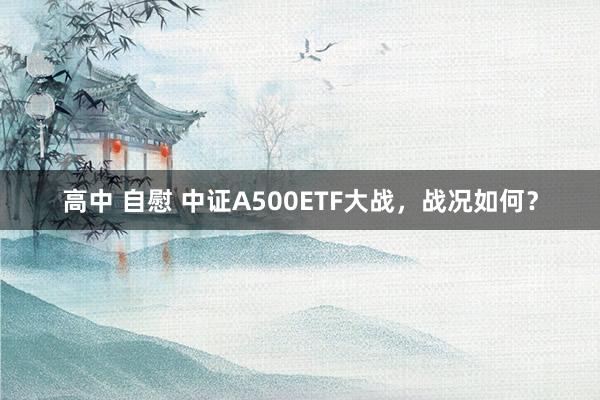 高中 自慰 中证A500ETF大战，战况如何？