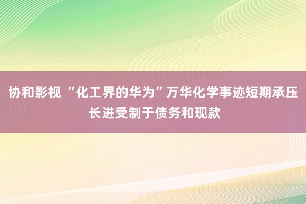 协和影视 “化工界的华为”万华化学事迹短期承压 长进受制于债务和现款