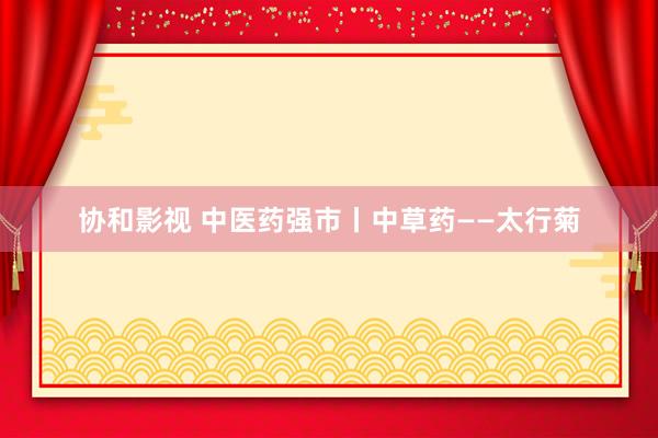 协和影视 中医药强市丨中草药——太行菊