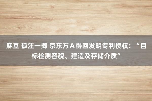 麻豆 孤注一掷 京东方Ａ得回发明专利授权：“目标检测容貌、建造及存储介质”