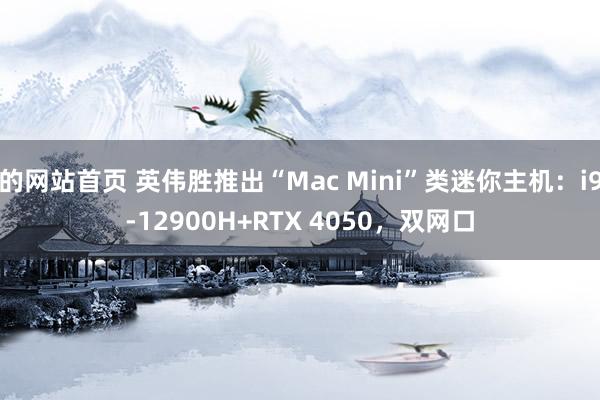 的网站首页 英伟胜推出“Mac Mini”类迷你主机：i9-12900H+RTX 4050，双网口