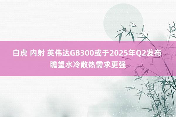 白虎 内射 英伟达GB300或于2025年Q2发布 瞻望水冷散热需求更强