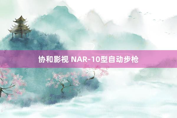 协和影视 NAR-10型自动步枪