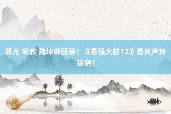 耳光 调教 魏坤琳回顾！《最强大脑12》嘉宾声势揭晓！