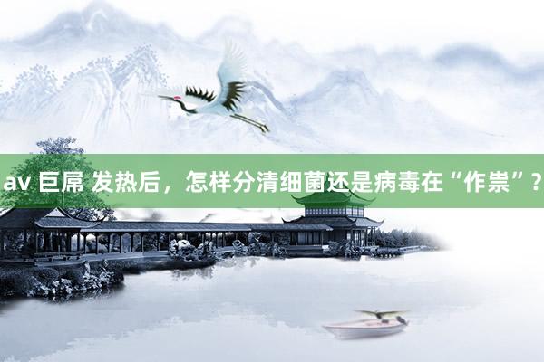 av 巨屌 发热后，怎样分清细菌还是病毒在“作祟”？