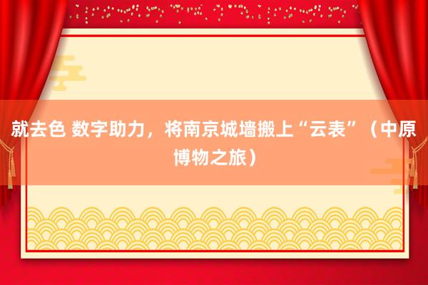 就去色 数字助力，将南京城墙搬上“云表”（中原博物之旅）