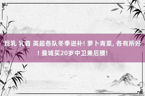 巨乳 乳首 英超各队冬季进补! 萝卜青菜， 各有所好! 曼城买20岁中卫兼后腰!