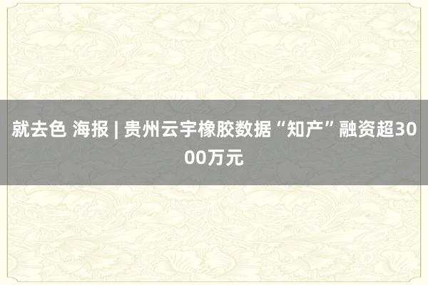 就去色 海报 | 贵州云宇橡胶数据“知产”融资超3000万元