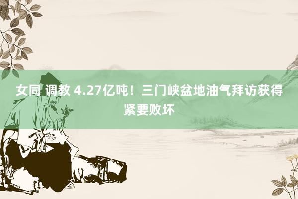 女同 调教 4.27亿吨！三门峡盆地油气拜访获得紧要败坏