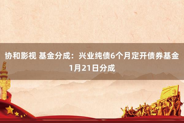 协和影视 基金分成：兴业纯债6个月定开债券基金1月21日分成