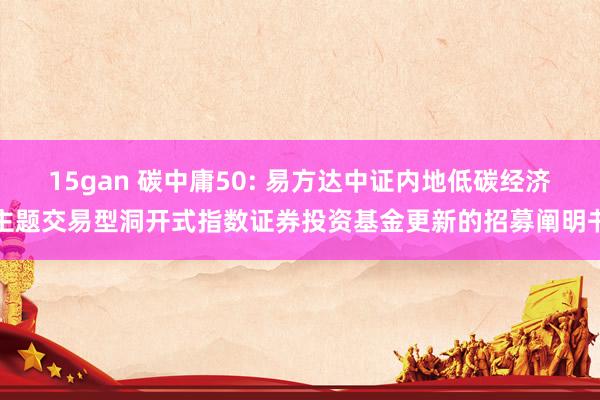 15gan 碳中庸50: 易方达中证内地低碳经济主题交易型洞开式指数证券投资基金更新的招募阐明书