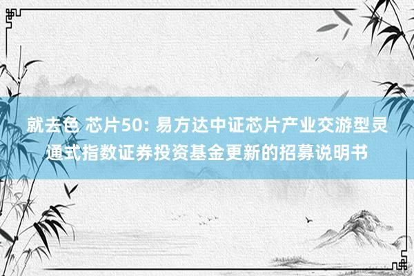 就去色 芯片50: 易方达中证芯片产业交游型灵通式指数证券投资基金更新的招募说明书