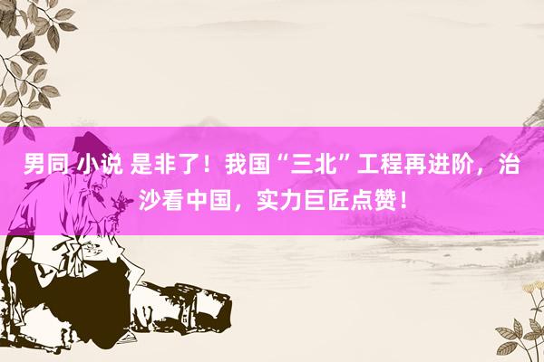 男同 小说 是非了！我国“三北”工程再进阶，治沙看中国，实力巨匠点赞！