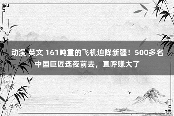 动漫 英文 161吨重的飞机迫降新疆！500多名中国巨匠连夜前去，直呼赚大了