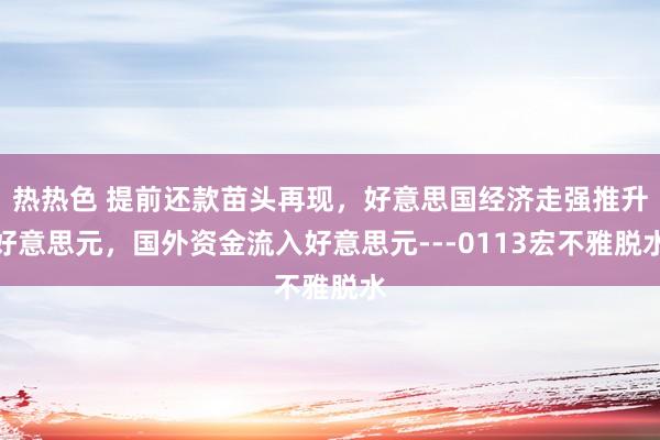 热热色 提前还款苗头再现，好意思国经济走强推升好意思元，国外资金流入好意思元---0113宏不雅脱水
