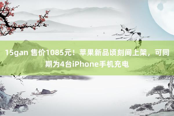 15gan 售价1085元！苹果新品顷刻间上架，可同期为4台iPhone手机充电