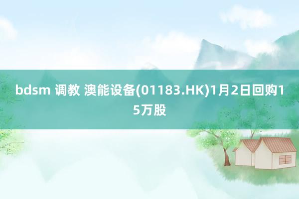 bdsm 调教 澳能设备(01183.HK)1月2日回购15万股