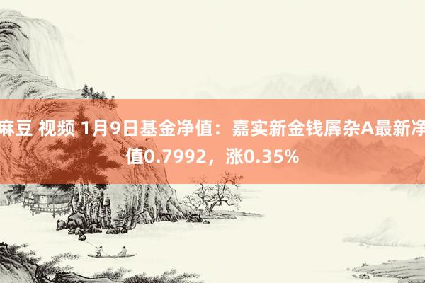 麻豆 视频 1月9日基金净值：嘉实新金钱羼杂A最新净值0.7992，涨0.35%