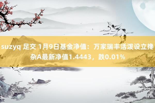 suzyq 足交 1月9日基金净值：万家瑞丰活泼设立搀杂A最新净值1.4443，跌0.01%
