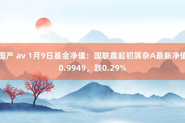 国产 av 1月9日基金净值：国联鑫起初羼杂A最新净值0.9949，跌0.29%