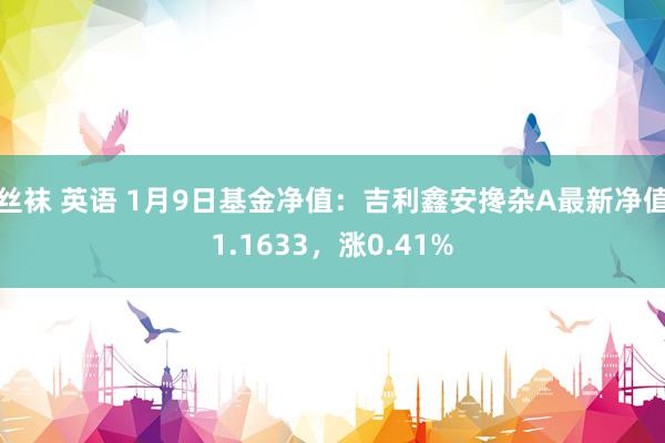 丝袜 英语 1月9日基金净值：吉利鑫安搀杂A最新净值1.1633，涨0.41%