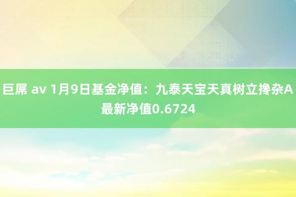 巨屌 av 1月9日基金净值：九泰天宝天真树立搀杂A最新净值0.6724
