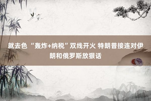 就去色 “轰炸+纳税”双线开火 特朗普接连对伊朗和俄罗斯放狠话