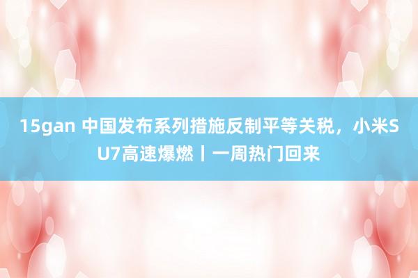 15gan 中国发布系列措施反制平等关税，小米SU7高速爆燃丨一周热门回来