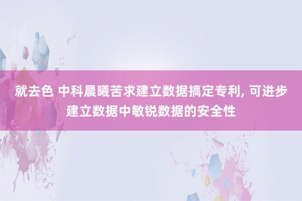 就去色 中科晨曦苦求建立数据搞定专利， 可进步建立数据中敏锐数据的安全性