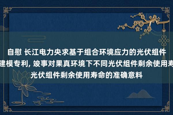 自慰 长江电力央求基于组合环境应力的光伏组件使用寿命意料建模专利， 竣事对果真环境下不同光伏组件剩余使用寿命的准确意料