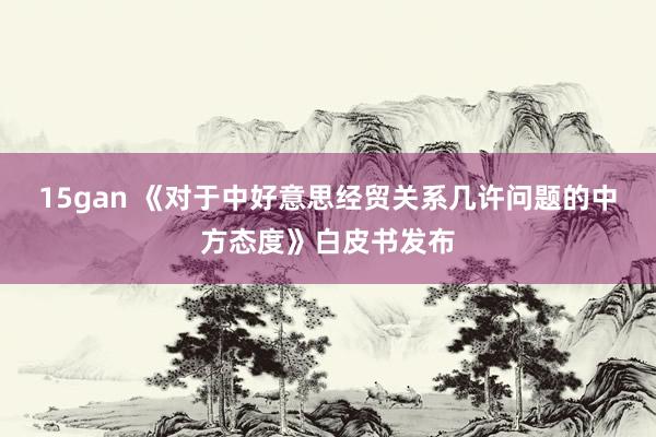 15gan 《对于中好意思经贸关系几许问题的中方态度》白皮书发布