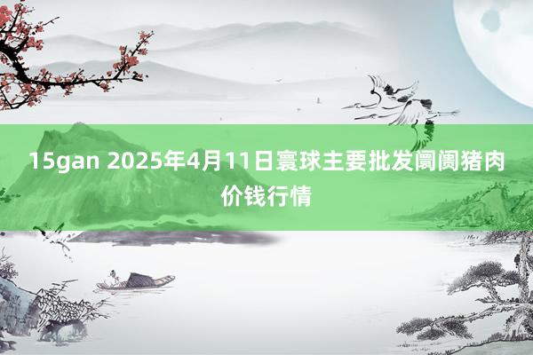 15gan 2025年4月11日寰球主要批发阛阓猪肉价钱行情