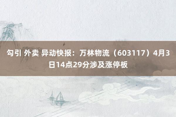 勾引 外卖 异动快报：万林物流（603117）4月3日14点29分涉及涨停板