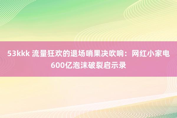 53kkk 流量狂欢的退场哨果决吹响：网红小家电600亿泡沫破裂启示录