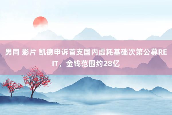 男同 影片 凯德申诉首支国内虚耗基础次第公募REIT，金钱范围约28亿