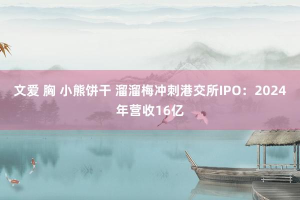 文爱 胸 小熊饼干 溜溜梅冲刺港交所IPO：2024年营收16亿
