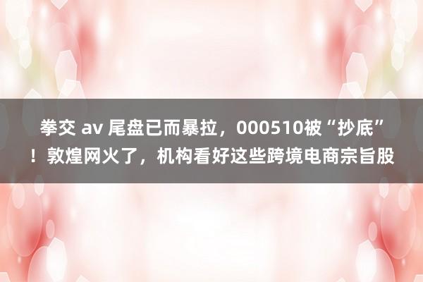 拳交 av 尾盘已而暴拉，000510被“抄底”！敦煌网火了，机构看好这些跨境电商宗旨股