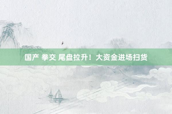 国产 拳交 尾盘拉升！大资金进场扫货