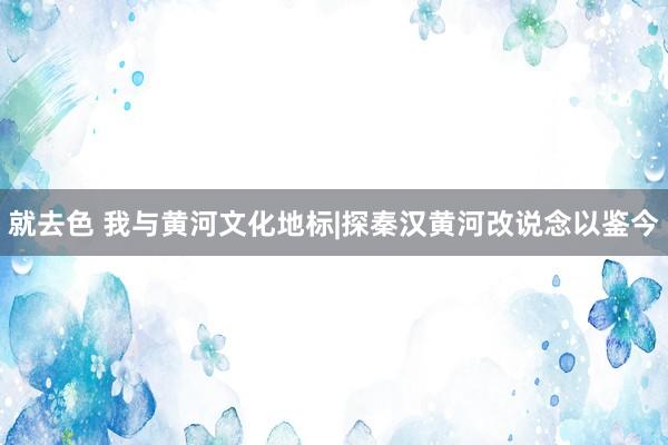 就去色 我与黄河文化地标|探秦汉黄河改说念以鉴今