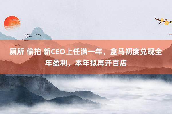 厕所 偷拍 新CEO上任满一年，盒马初度兑现全年盈利，本年拟再开百店