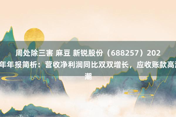 周处除三害 麻豆 新锐股份（688257）2024年年报简析：营收净利润同比双双增长，应收账款高潮