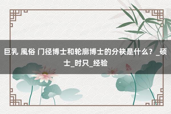 巨乳 風俗 门径博士和轮廓博士的分袂是什么？_硕士_时只_经验