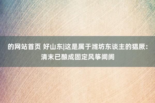的网站首页 好山东|这是属于潍坊东谈主的猖厥：清末已酿成固定风筝阛阓